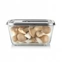 Caso Glass Vacuum Container with Plastic Lid | VacuBoxx Inox XL Caso Glass Vacuum Container with Plastic Lid | VacuBoxx Inox XL