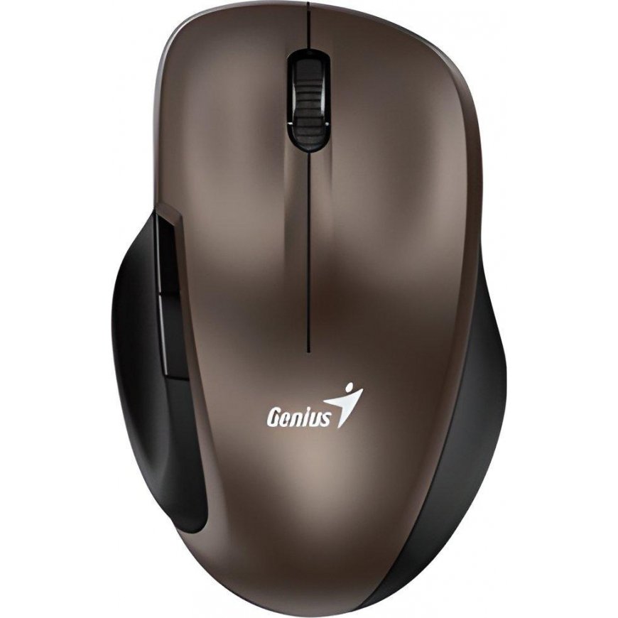 Mouse Genius Ergo 8200S brown (31030029403)