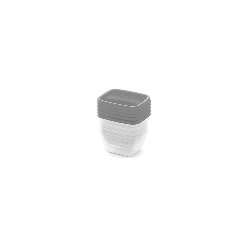 Food Container Set 5x0,25L Vedo transparent grey – 2