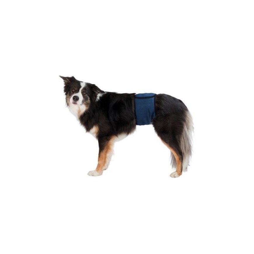 TRIXIE Reusable diapers for boys, net. material, SM 37-45 cm, dark blue