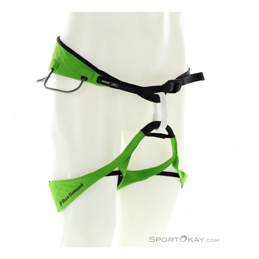 Belay kit with waist belt and shock absorber – 2