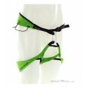 Belay kit with waist belt and shock absorber Belay kit with waist belt and shock absorber