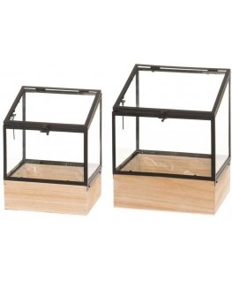 4Living Greenhouse with wooden box 2 pcs