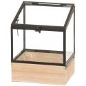 4Living Greenhouse with wooden box 2 pcs 4Living Greenhouse with wooden box 2 pcs
