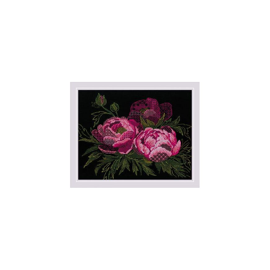 Uab Riolis Uab Riolis Lace peonies