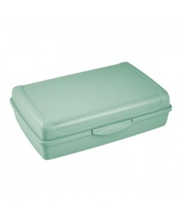 Food storage container click-box maxi 3,7L Luca 30x20x8,5cm gree