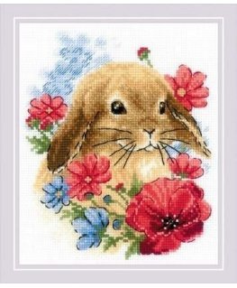 Uab Riolis Rabbit in rings SR1986