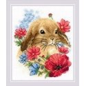 Uab Riolis Rabbit in rings SR1986 Uab Riolis Rabbit in rings SR1986