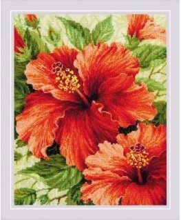 Uab Riolis Hibiscus SR1967