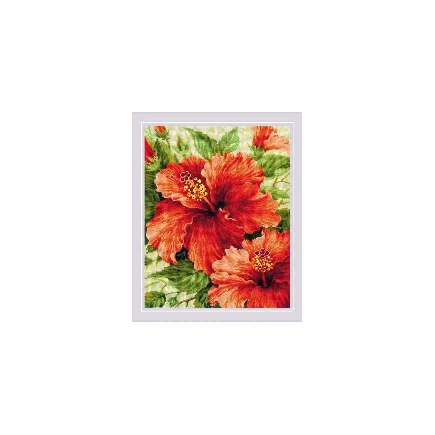 Uab Riolis Uab Riolis Hibiscus SR1967
