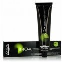 Professional hair dye "L'oreal Professionnel Inoa No Ammonia Permanent Color 10" 60g Professional hair dye "L'oreal Professionnel Inoa No Ammonia Permanent Color 10" 60g