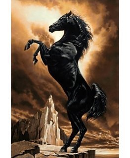 Beldizart Stiprus arklys 48*70 cm WD2391