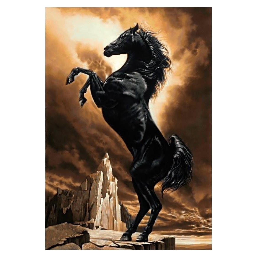 Beldizart Stiprus arklys 48*70 cm WD2391
