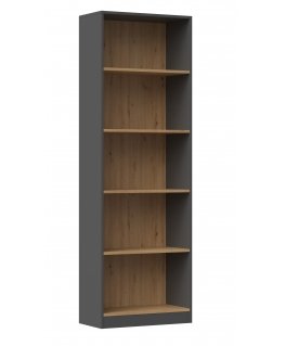 Topeshop R60 ANT/ART office bookcase