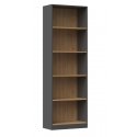 Topeshop R60 ANT/ART knygų lentyna biurui Topeshop R60 ANT/ART knygų lentyna biurui