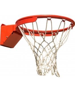 Netex basketball net