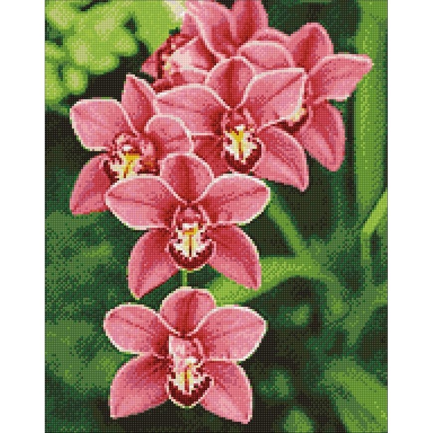 Beldizart Cymbidium 38*48 cm WD033 – 2