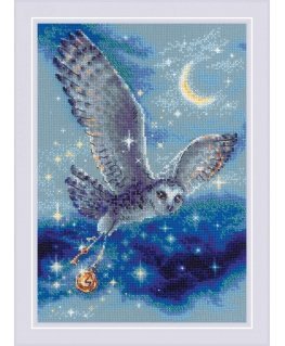 Uab Riolis The magical owl SR1872