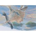 Uab Riolis Embroidery set SRA1002 Uab Riolis Embroidery set SRA1002