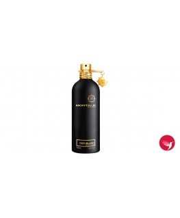 Montale Paris Oud Island EDP