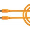 RODE SC17 - Cable USB-C - USB-C 1.5m Orange RODE SC17 - Cable USB-C - USB-C 1.5m Orange