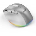 Wireless mouse, Genius Ergo 9000S Pro, silver, optical, 2400DPI Wireless mouse, Genius Ergo 9000S Pro, silver, optical, 2400DPI