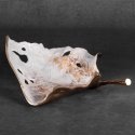 Eurofirany CM / DONATO / PAT / 01 40X30X11 K + BEIGE Eurofirany CM / DONATO / PAT / 01 40X30X11 K + BEIGE