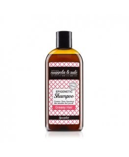 Nuggela & Sulé Epigenetic Shampoo for Greasy Hair 250ml