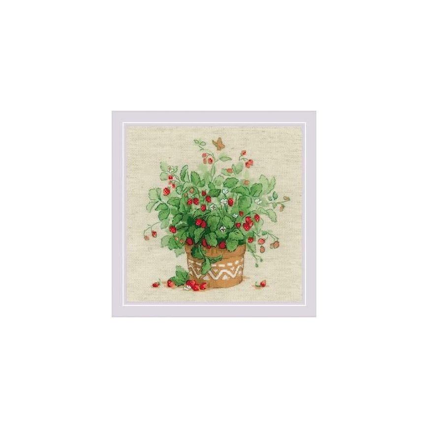 Uab Riolis Uab Riolis Strawberry pot