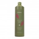 Echosline Color Care Shampoo shampoo for dyed hair 1000ml Echosline Color Care Shampoo shampoo for dyed hair 1000ml