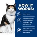 Hills 1496 cats moist food 156 g