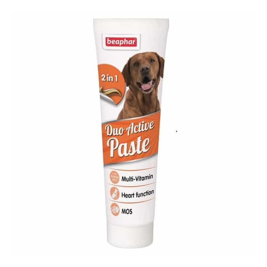 Vitamin paste for dogs : Beaphar Duo Active Paste for dogs, 100g