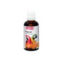 Food for budgerigars - Avicentra food standard for budgerigar 20 Food for budgerigars - Avicentra food standard for budgerigar 20