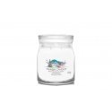 Yankee Candle 1743368E восковая свеча Цилиндр Жасмин, Мята, Груша, Ваниль Белый 1 шт Yankee Candle 1743368E восковая свеча Цилиндр Жасмин, Мята, Груша, Ваниль Белый 1 шт