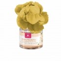 Cristalinas oro gaiviklis 0 apelsinų žiedų ir mandarinų 40 ml Cristalinas oro gaiviklis 0 apelsinų žiedų ir mandarinų 40 ml