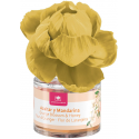 Cristalina air freshener 0 orange blossoms and tangerines 40 ml