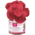 Cristalina flower-scented air freshener 0 Blackberry and raspberry 40ml Cristalina flower-scented air freshener 0 Blackberry and raspberry 40ml