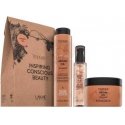 Lakmé Teknia Hair Care Argan Oil Pack 300 ml + 250 ml + 125 ml