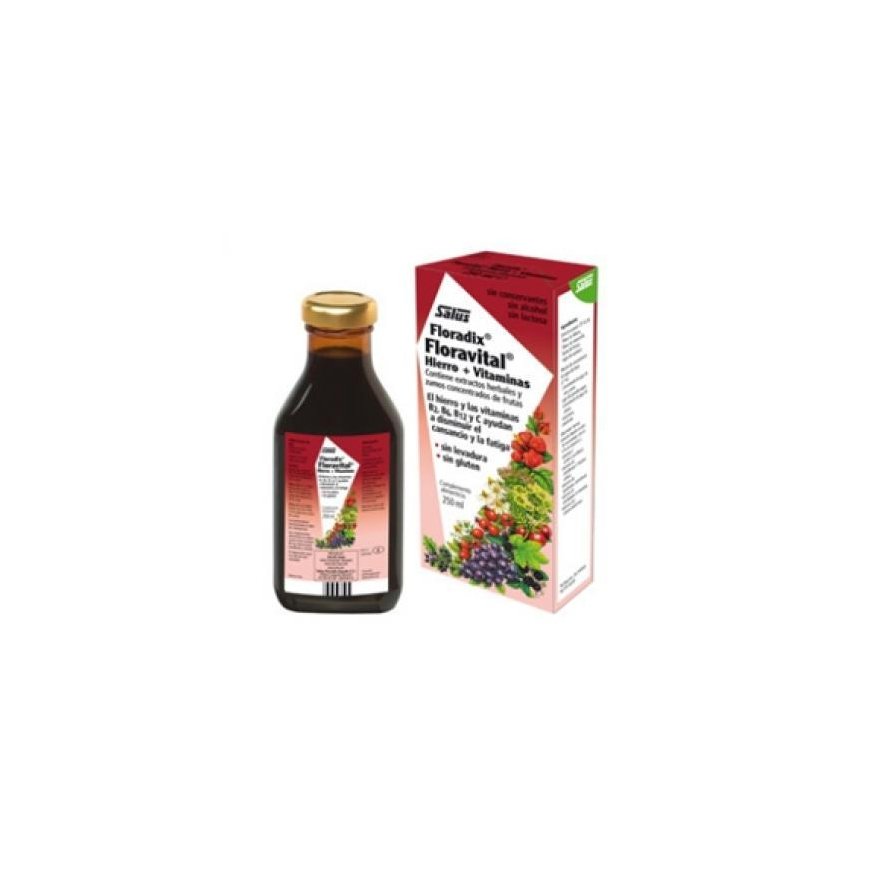 Salus Floradix Floravital 250ml