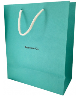 Tiffany & Co. Tiffany & Co Tiffany & Co Large Shopping Bag Paper Green For Women
