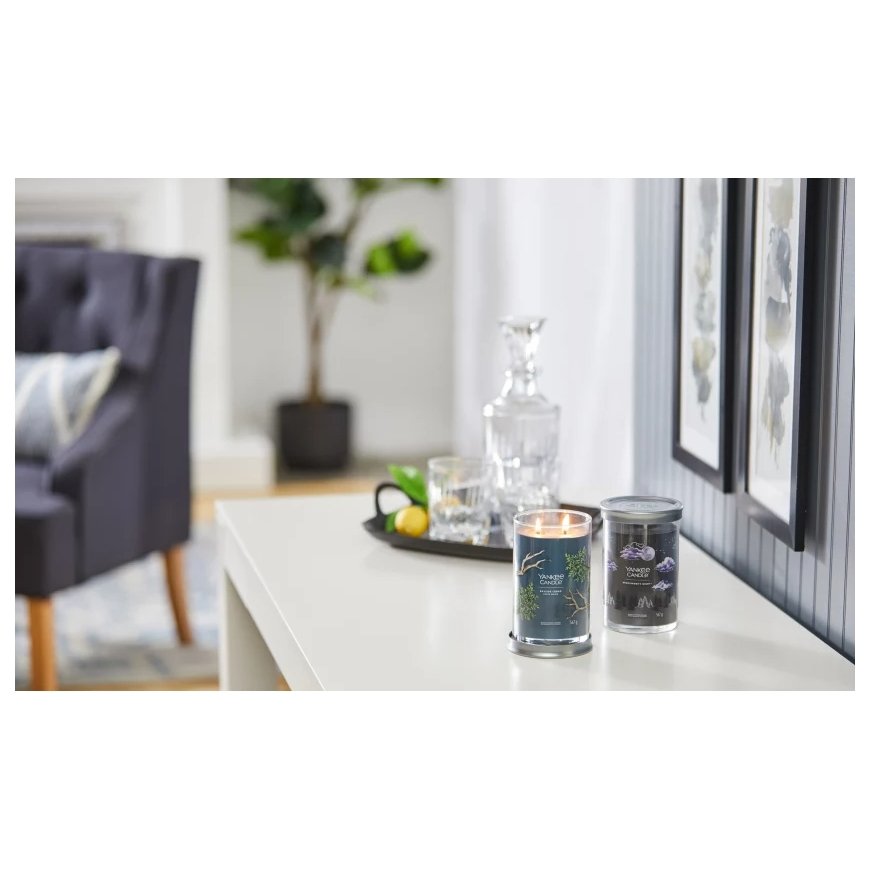 Yankee Candle 1630036E восковая свеча Цилиндр Мускус, Пачули Черный 1 шт – 2