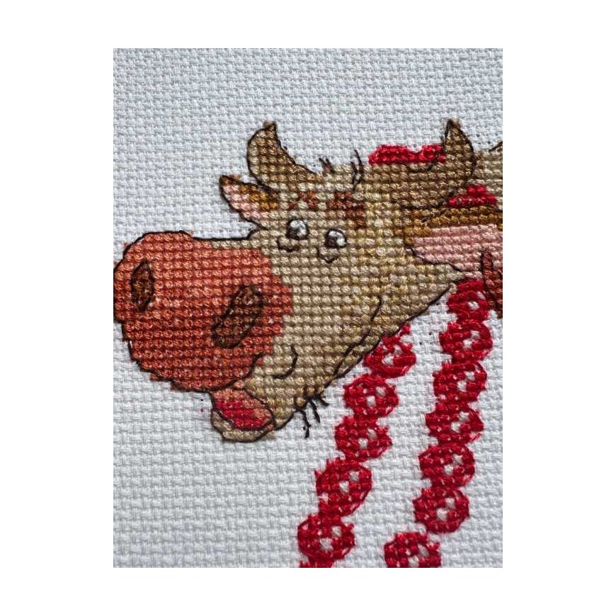 Uab Riolis Embroidery set SRA1006 – 2