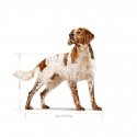 ROYAL CANIN SHN Medium Adult - sausā suņu barība - 15kg