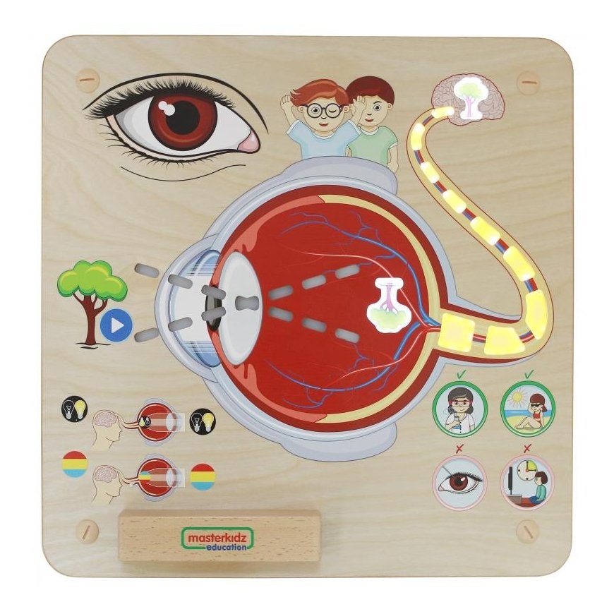 MASTERKIDZ edukacinė regos lenta – 3