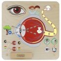MASTERKIDZ educational vision board MASTERKIDZ educational vision board