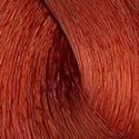 L‘Oreal Professionnel iNOA plaukų dažai 60ml