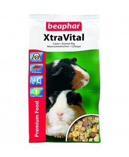Guinea Pig Food : Beaphar Xtra Vital Guinea Pig Food, 2,5kg