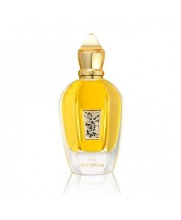 Xerjoff XJ 17|17 Symphonium Parfum UNISEX 100 ml (unisex)