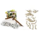 Dėlionė Clementoni, Science & Play, Archeofun Triceratops Glow in The Dark, Puzzle, 61723, Unisex, 7+ metai Dėlionė Clementoni, Science & Play, Archeofun Triceratops Glow in The Dark, Puzzle, 61723, Unisex, 7+ metai