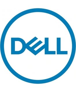 DELL 161-BCJX vidinis kietasis diskas 3.5" 12 TB NL-SAS